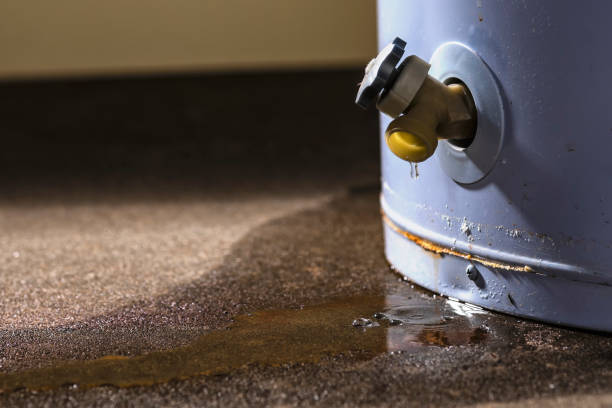 Best Professional water damage repair  in Ptland, OR