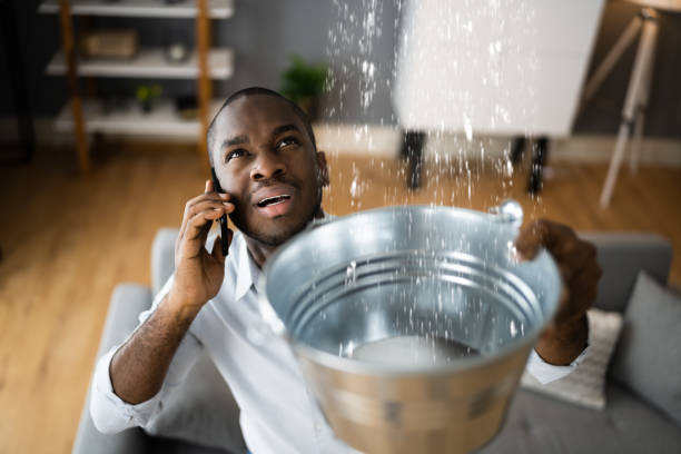 Best Water damage restoration process  in Ptland, OR