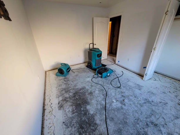 Best Commercial water damage restoration  in Ptland, OR