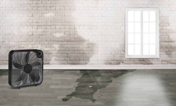 Best Water damage contractors near me  in Ptland, OR