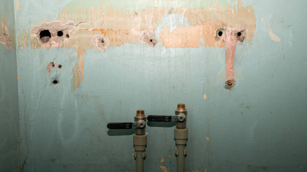 Best Fire Damage Restoration  in Ptland, OR