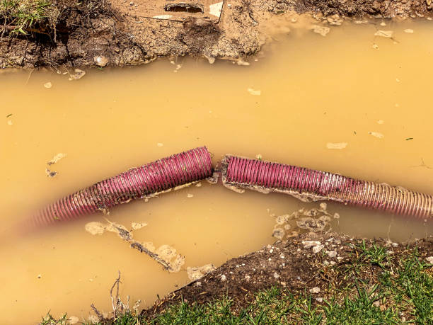 Best Basement water damage restoration  in Ptland, OR