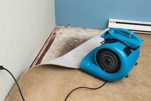 Water damage restoration process in Portland, OR